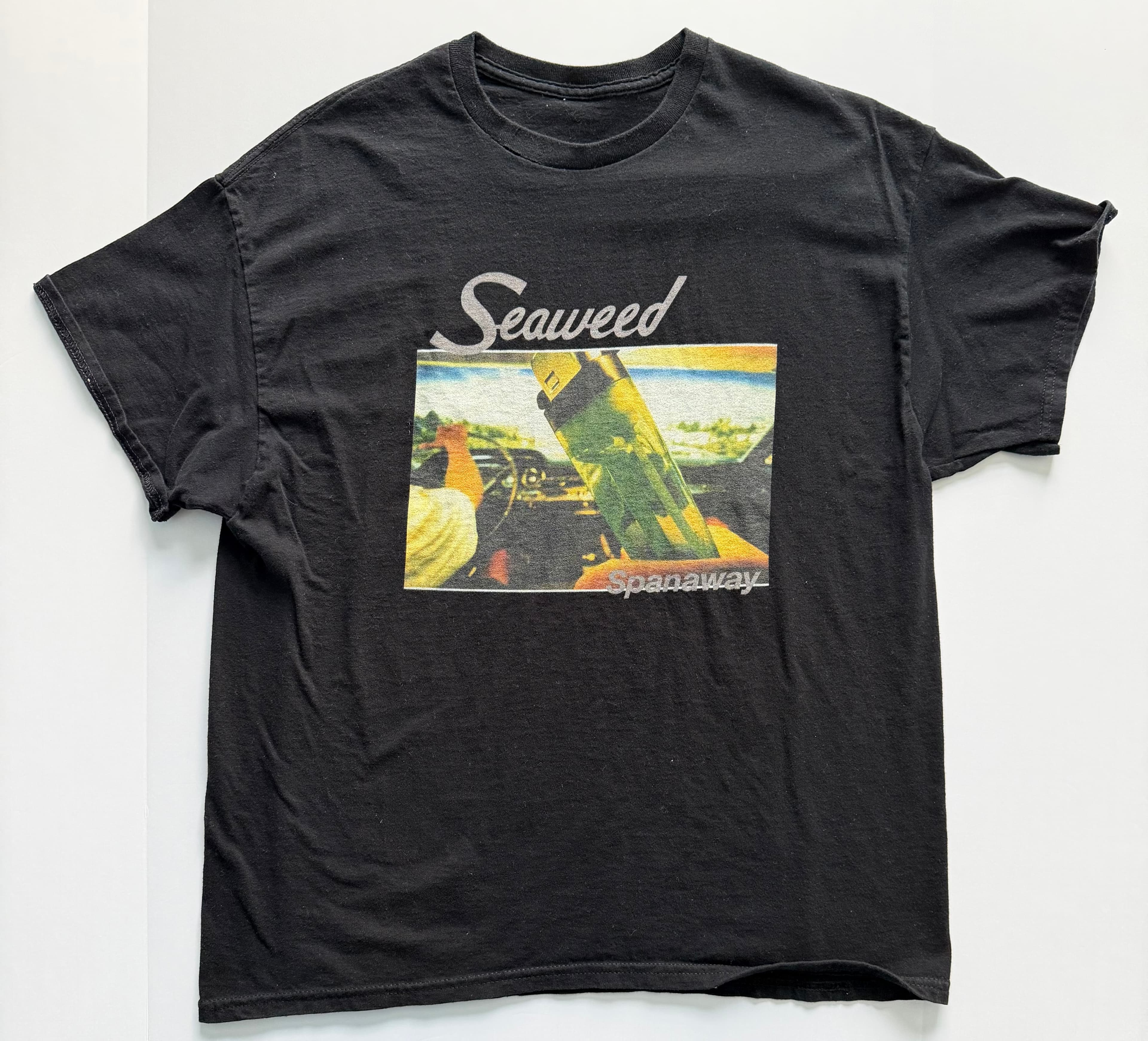 Seaweed - Spanaway