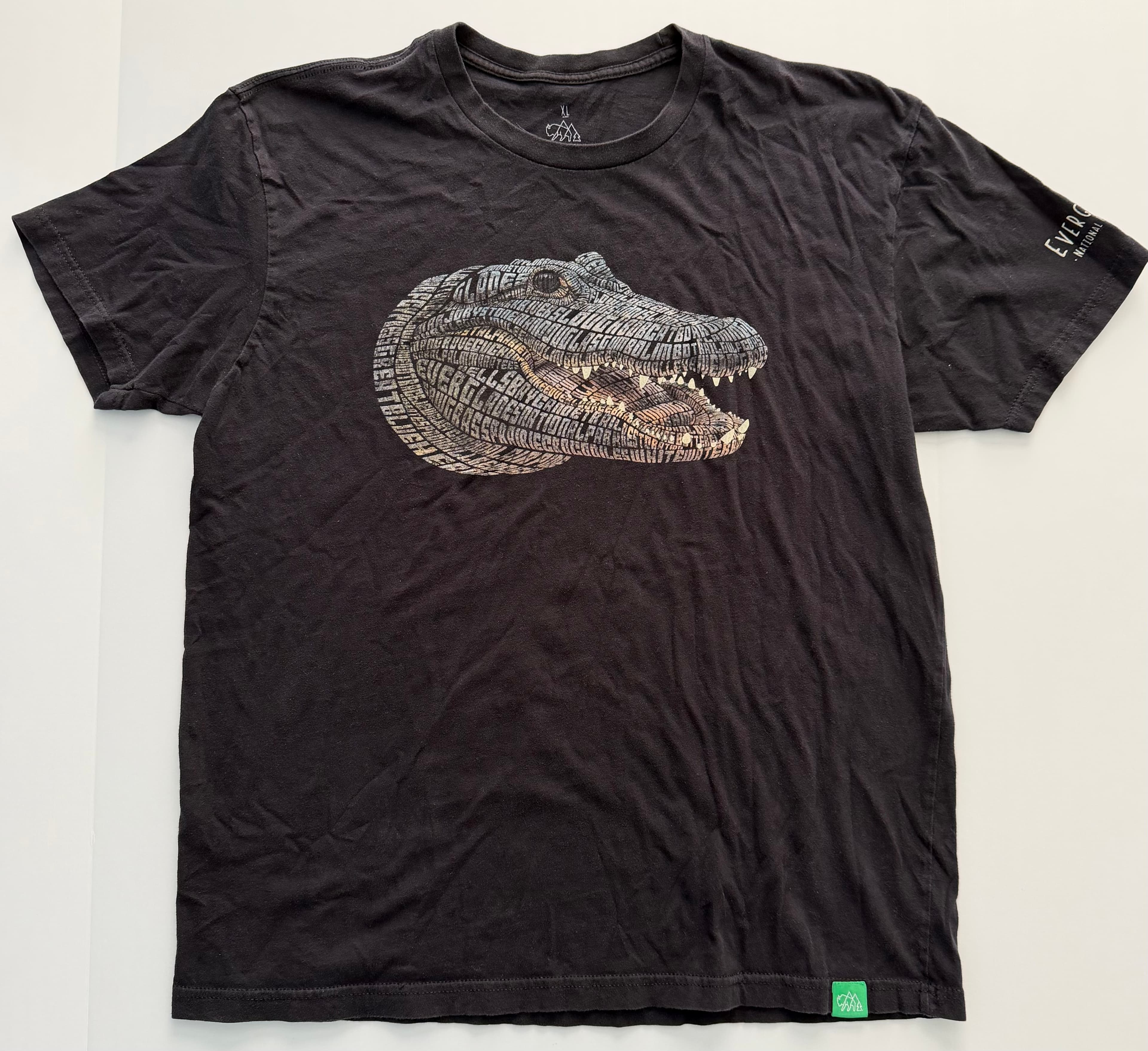 Everglades Alligator