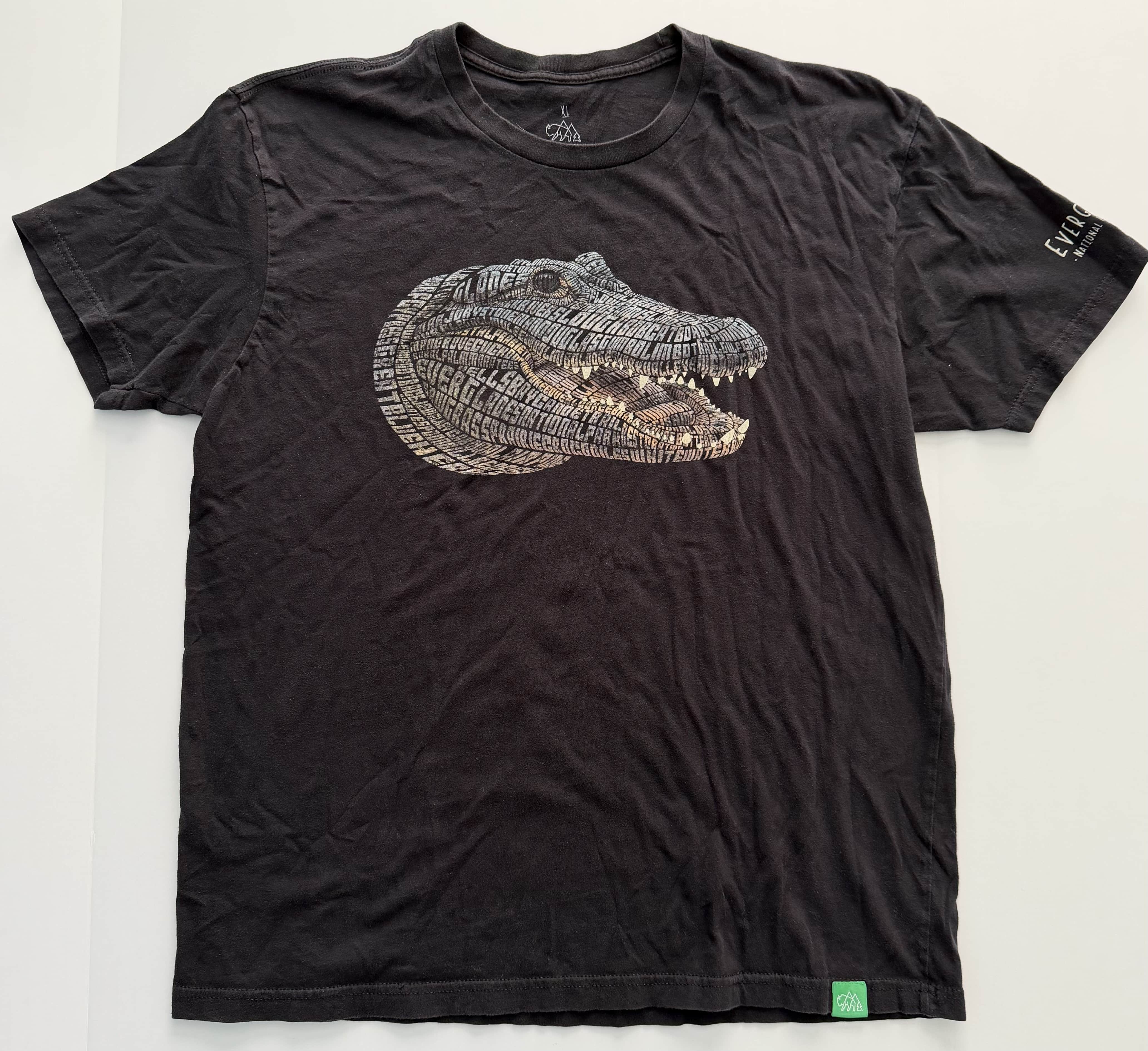 Everglades Alligator